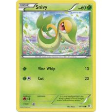 Snivy 11/149 Common - Boundaries Crossed