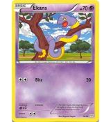 Ekans 16/30 - XY Trainer Kit