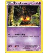 Pumpkaboo 18/30 - XY Trainer Kit