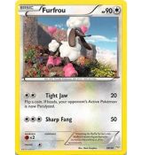 Furfrou 20/30 - XY Trainer Kit