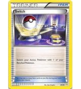 Switch 29/30 - XY Trainer Kit