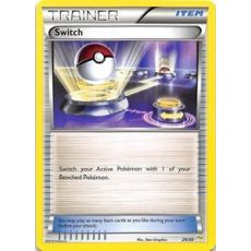 Switch 29/30 - XY Trainer Kit